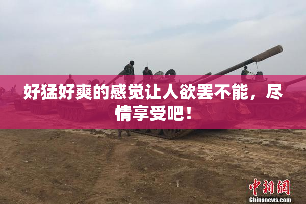 好猛好爽的感觉让人欲罢不能，尽情享受吧！
