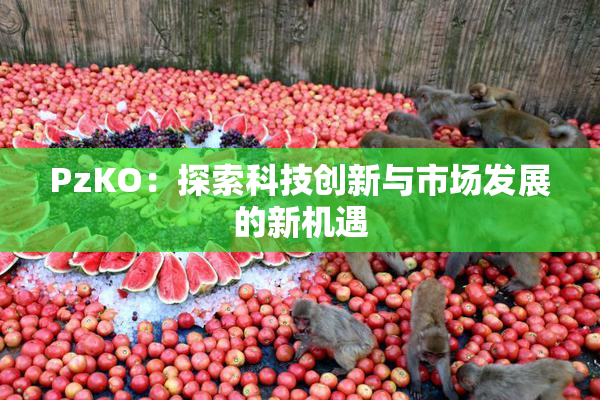 PzKO：探索科技创新与市场发展的新机遇