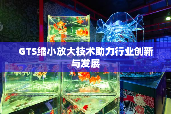 GTS缩小放大技术助力行业创新与发展