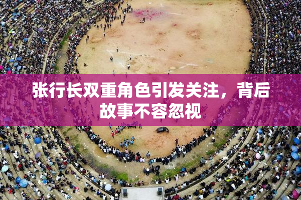 张行长双重角色引发关注，背后故事不容忽视