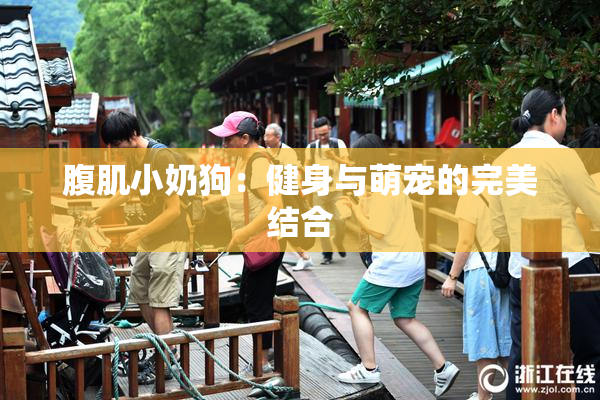 腹肌小奶狗：健身与萌宠的完美结合