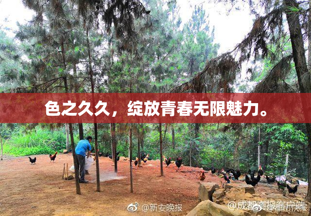 色之久久，绽放青春无限魅力。