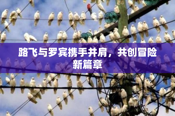 路飞与罗宾携手并肩，共创冒险新篇章