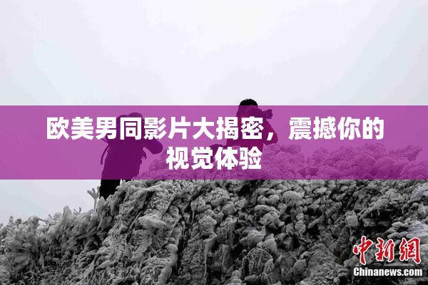 欧美男同影片大揭密，震撼你的视觉体验