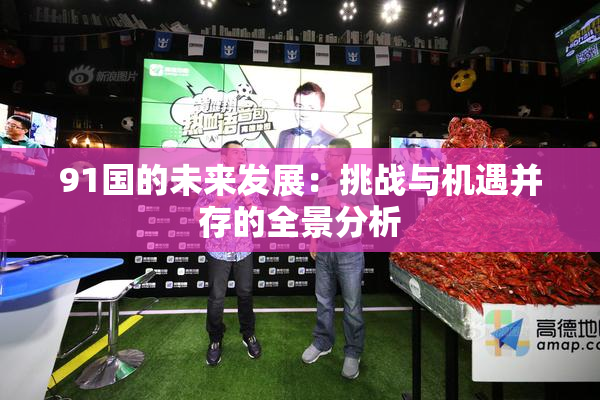 91国的未来发展：挑战与机遇并存的全景分析