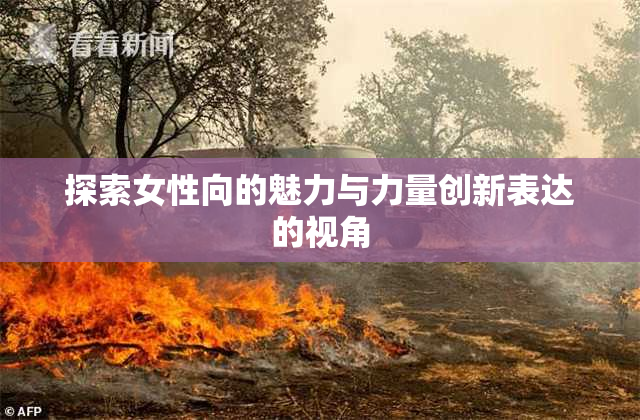 探索女性向的魅力与力量创新表达的视角