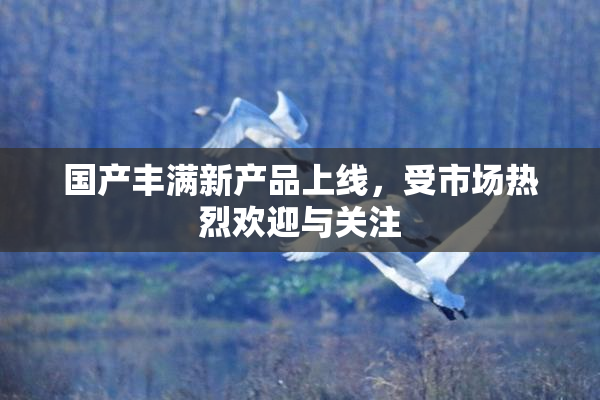 国产丰满新产品上线，受市场热烈欢迎与关注