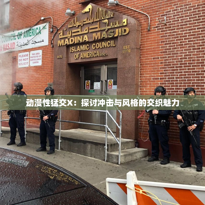 动漫性猛交X：探讨冲击与风格的交织魅力
