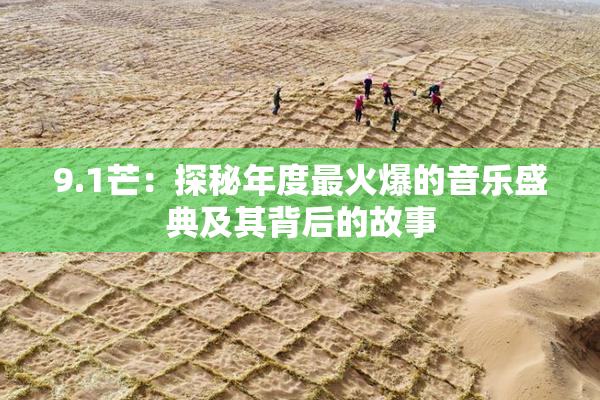 9.1芒：探秘年度最火爆的音乐盛典及其背后的故事