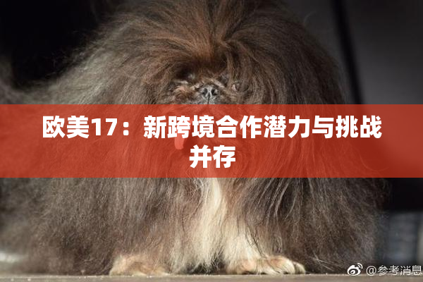 欧美17：新跨境合作潜力与挑战并存