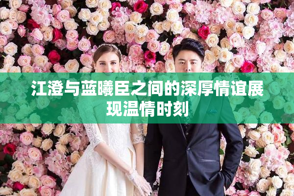 江澄与蓝曦臣之间的深厚情谊展现温情时刻