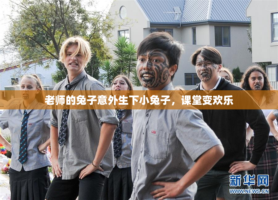 老师的兔子意外生下小兔子，课堂变欢乐