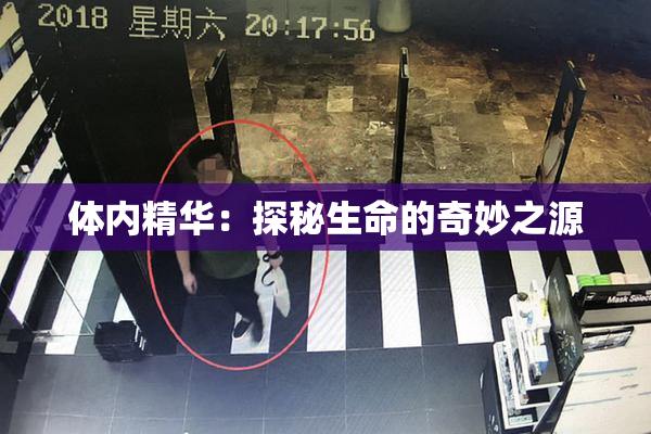 体内精华：探秘生命的奇妙之源