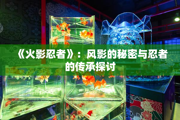 《火影忍者》：风影的秘密与忍者的传承探讨