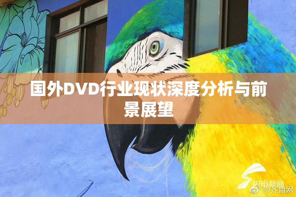 国外DVD行业现状深度分析与前景展望