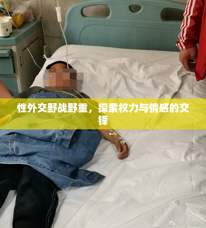 性外交野战野重，探索权力与情感的交锋