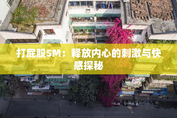 打屁股SM：释放内心的刺激与快感探秘