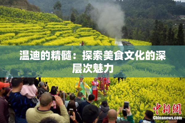 温迪的精髓：探索美食文化的深层次魅力