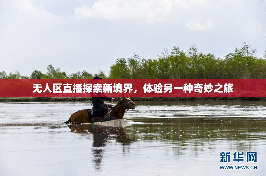 无人区直播探索新境界，体验另一种奇妙之旅