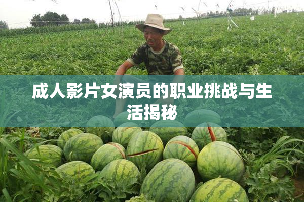 成人影片女演员的职业挑战与生活揭秘