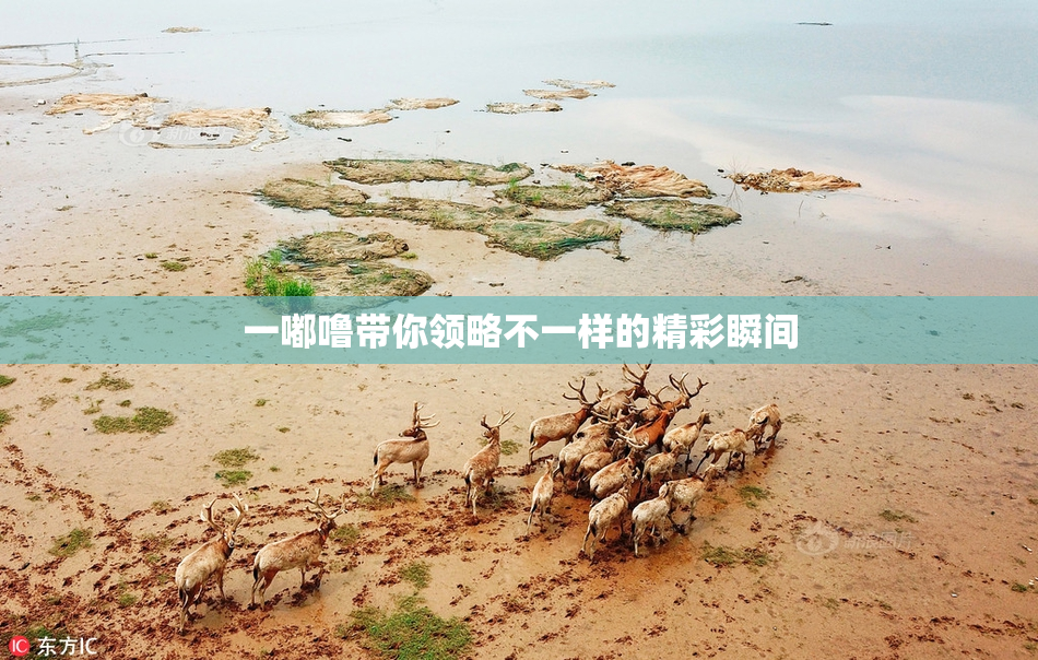 一嘟噜带你领略不一样的精彩瞬间