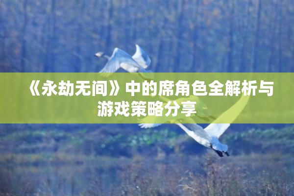 《永劫无间》中的席角色全解析与游戏策略分享