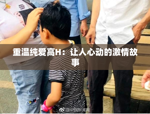 重温纯爱高H：让人心动的激情故事