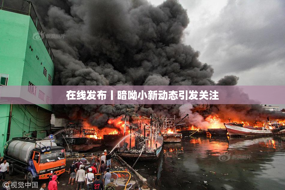 在线发布丨暗呦小新动态引发关注