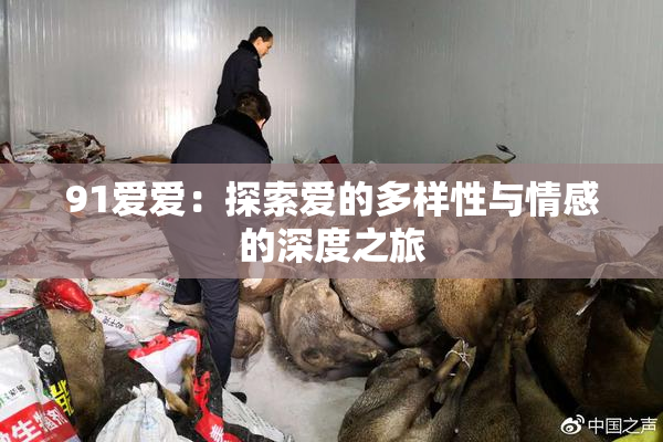 91爱爱：探索爱的多样性与情感的深度之旅