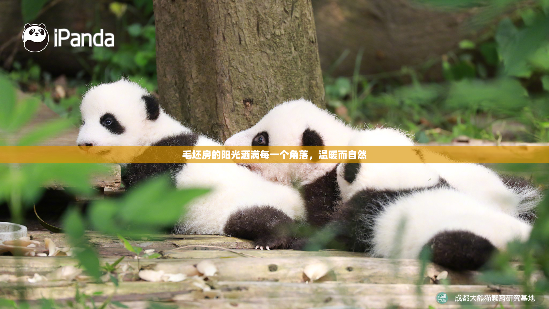 毛坯房的阳光洒满每一个角落，温暖而自然