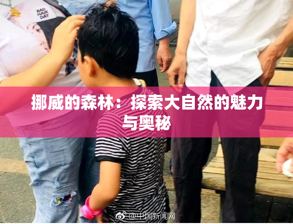 挪威的森林：探索大自然的魅力与奥秘