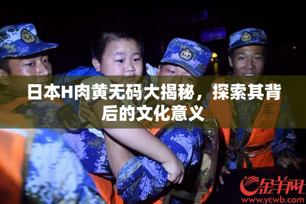 日本H肉黄无码大揭秘，探索其背后的文化意义
