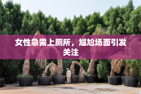 女性急需上厕所，尴尬场面引发关注