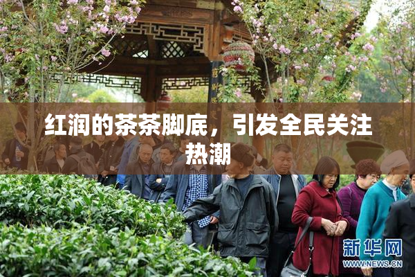 红润的茶茶脚底，引发全民关注热潮