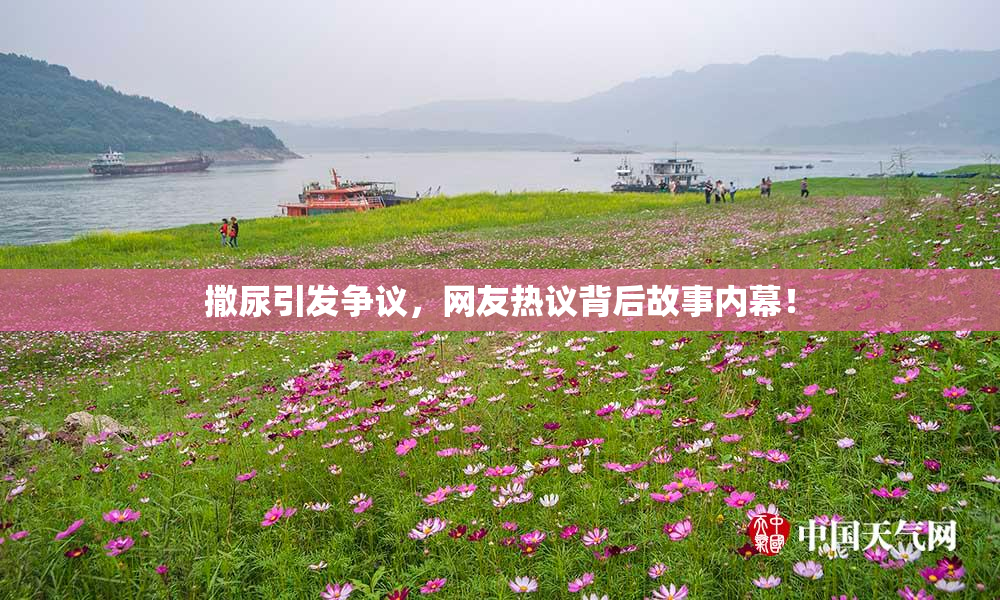 撒尿引发争议，网友热议背后故事内幕！