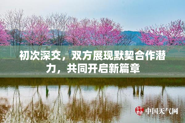 初次深交，双方展现默契合作潜力，共同开启新篇章