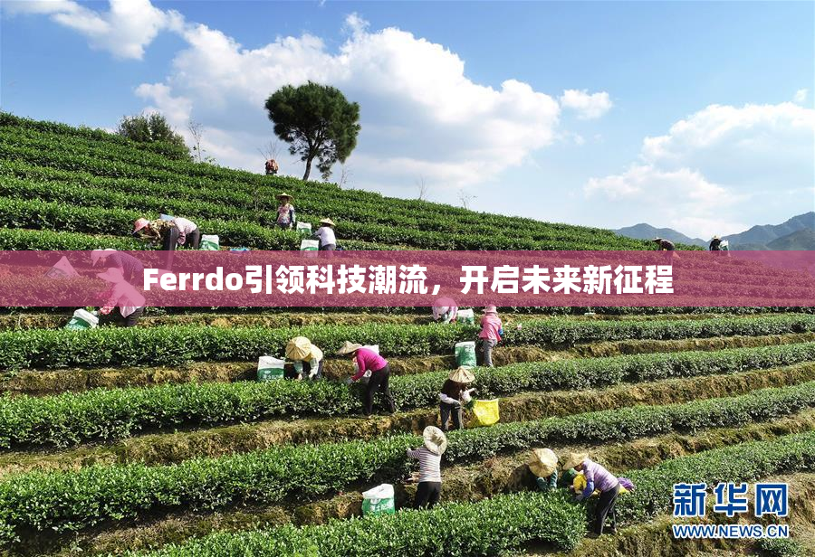Ferrdo引领科技潮流，开启未来新征程