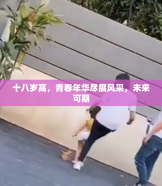 十八岁高，青春年华尽展风采，未来可期