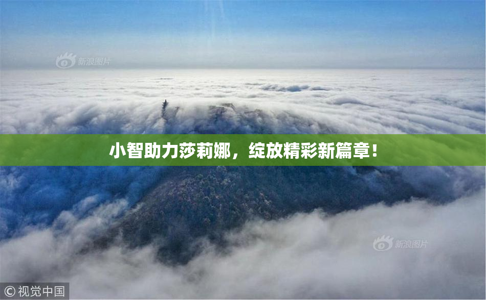 小智助力莎莉娜，绽放精彩新篇章！
