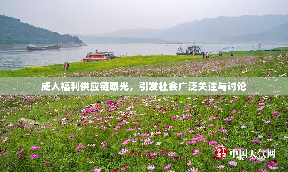 成人福利供应链曝光，引发社会广泛关注与讨论