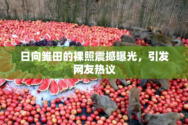 日向雏田的裸照震撼曝光，引发网友热议