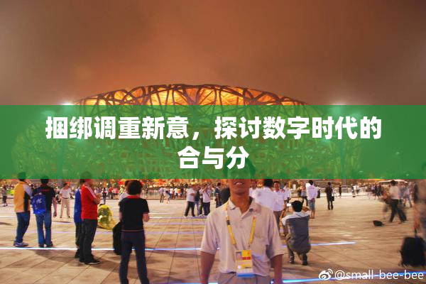 捆绑调重新意，探讨数字时代的合与分