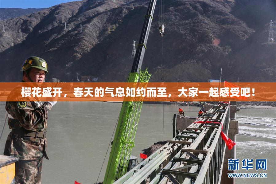 樱花盛开，春天的气息如约而至，大家一起感受吧！