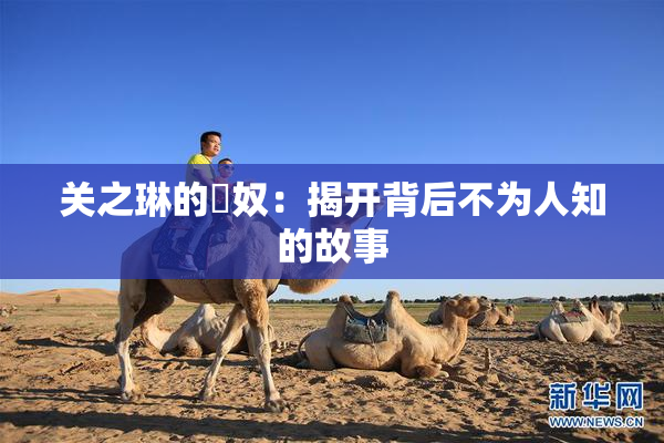 关之琳的婬奴：揭开背后不为人知的故事
