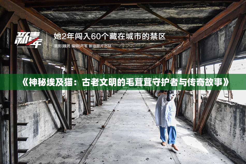 《神秘埃及猫：古老文明的毛茸茸守护者与传奇故事》