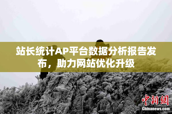站长统计AP平台数据分析报告发布，助力网站优化升级