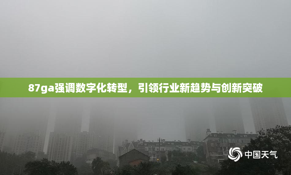 87ga强调数字化转型，引领行业新趋势与创新突破