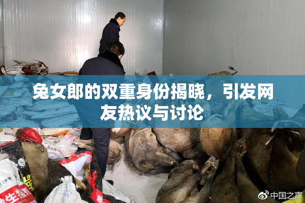 兔女郎的双重身份揭晓，引发网友热议与讨论