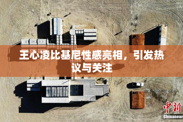 王心凌比基尼性感亮相，引发热议与关注