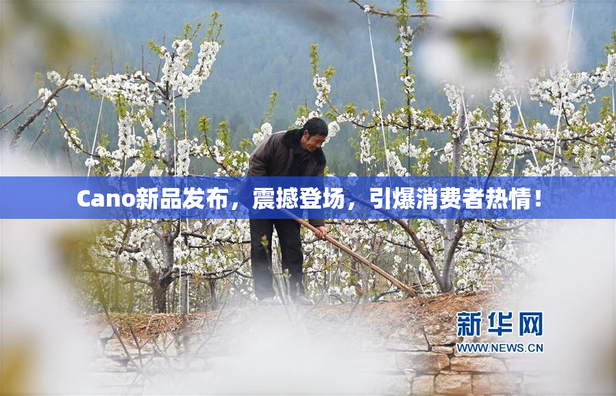 Cano新品发布，震撼登场，引爆消费者热情！